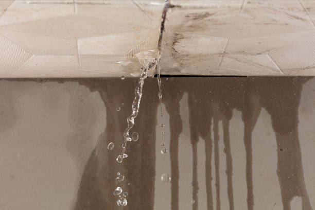 Professional Structural Drying technician working in Haines Falls, NY